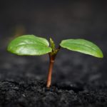 Científica del CONICET trabaja en investigación sobre relación entre sociedades y naturaleza