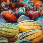 Brasil fortalece la Agricultura Familiar