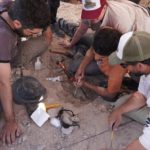 Comienzan a transmitir Expedición Cretácica