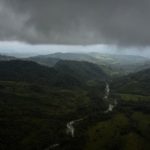 Lula quiere proteger los bosques tropicales