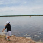 Realizarán jornada sobre importancia estratégica del agua en el contexto global