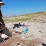 Hallan restos fósiles de mamíferos en Rolón Hallan restos fósiles de mamíferos en Rolón