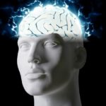 Buscan imitar al cerebro para que la IA consuma menos energía Buscan imitar al cerebro para que la IA consuma menos energía