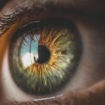 CONICET trabaja contra la retinopatía diabética CONICET trabaja contra la retinopatía diabética