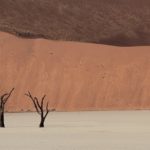 Advierten por desertificación en Brasil Advierten por desertificación en Brasil